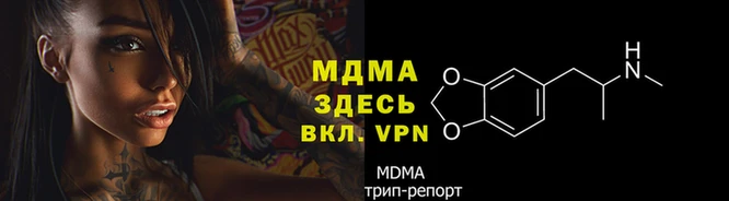 mdpv Богородск