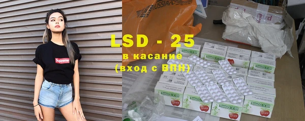 твердый Бородино